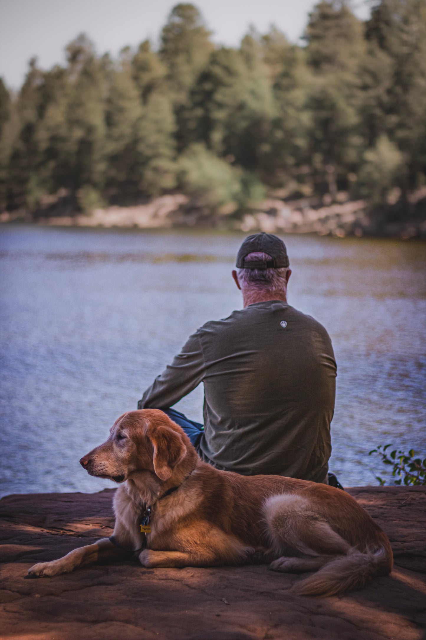 A Dog with His Best Friend