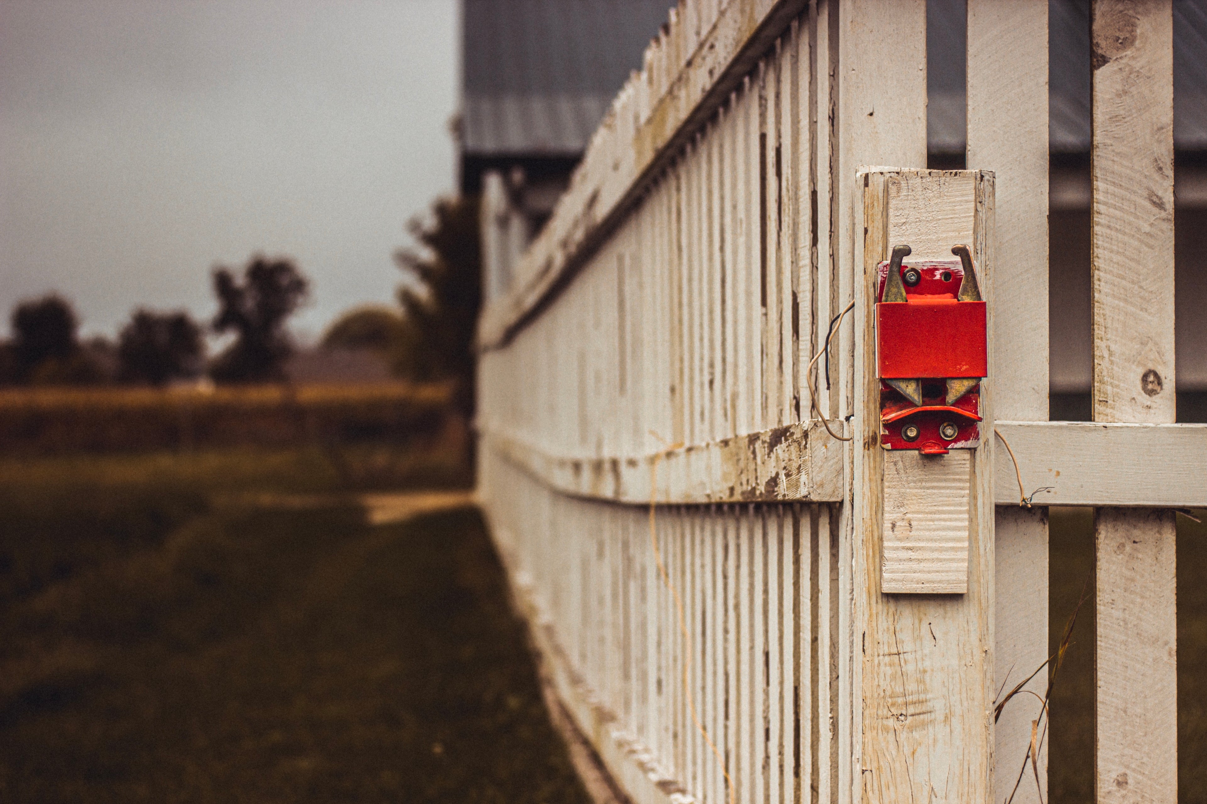 A red gate lock on a worn white picket fence leading off into the distance